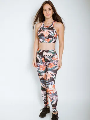 Amazone Collection