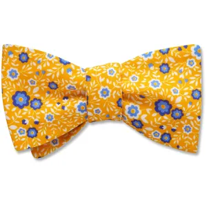 Chicorium - Dog Bow Ties
