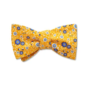 Chicorium - Kids' Bow Ties