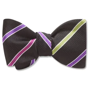 Euphonium - Dog Bow Ties