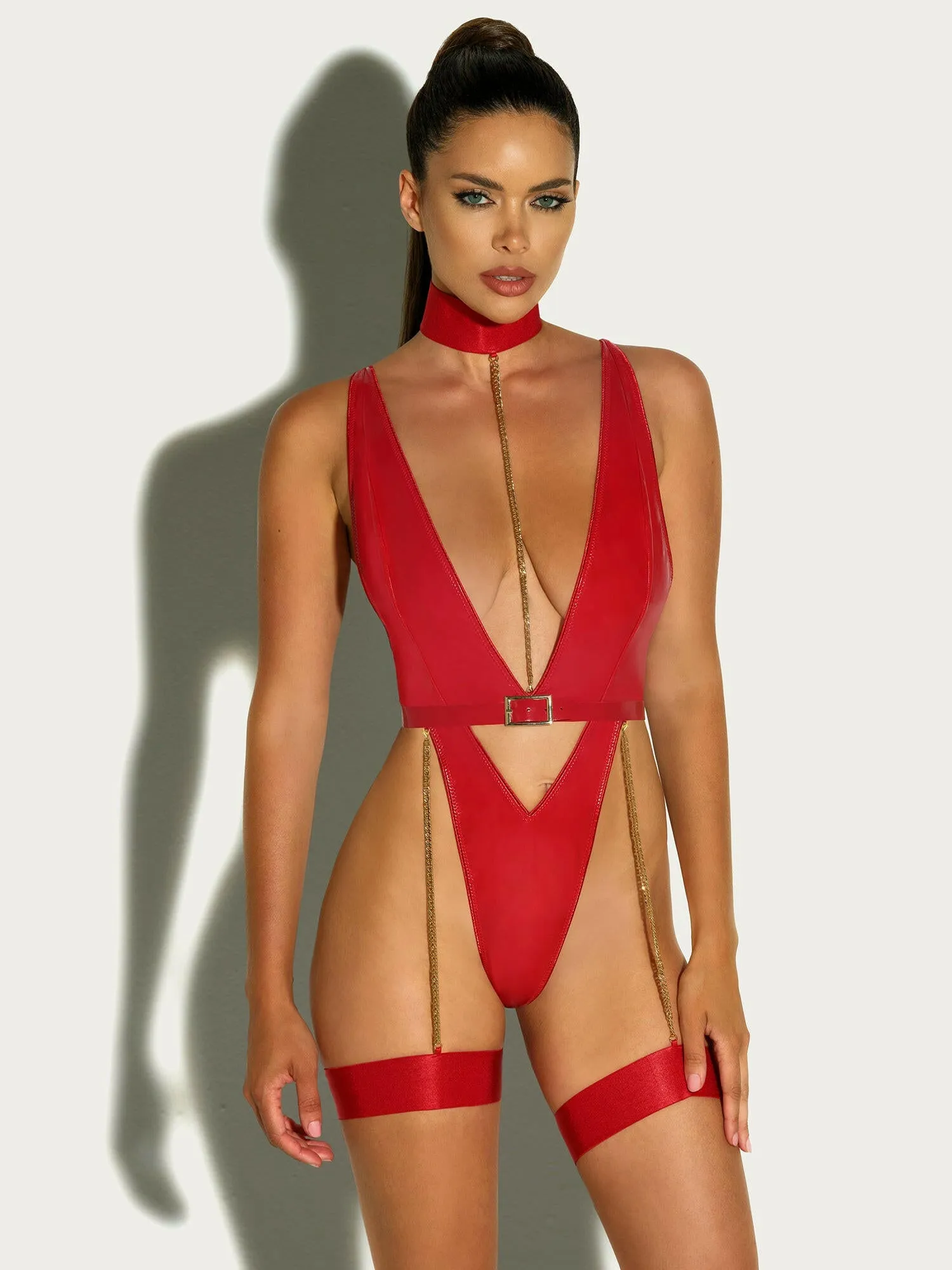 Harness Haven Teddy