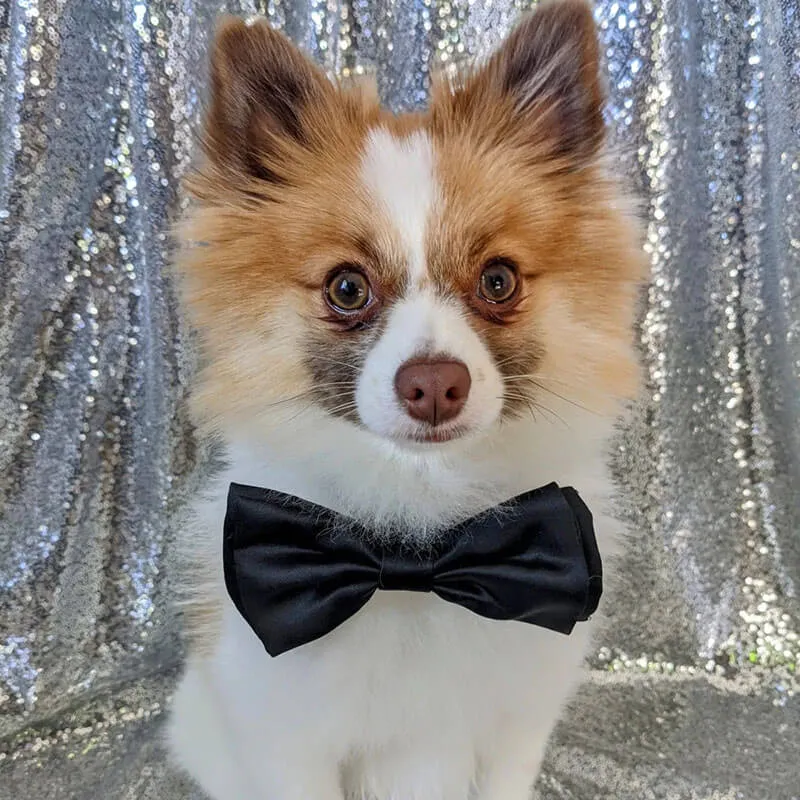 Huxley & Kent Black Satin Bow Tie