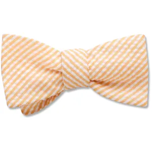 Kiawah Island - Dog Bow Ties