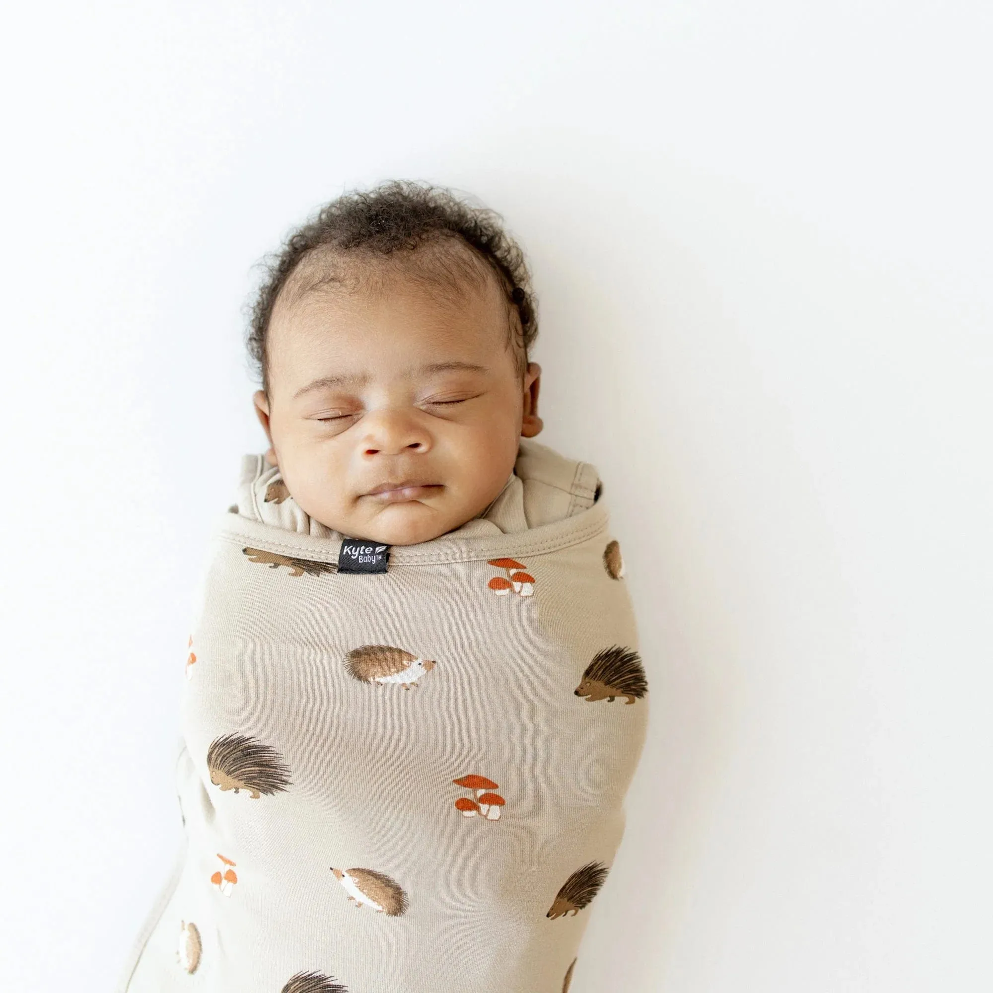 Kyte Baby - Sleep Bag (Swaddler) - Prickle