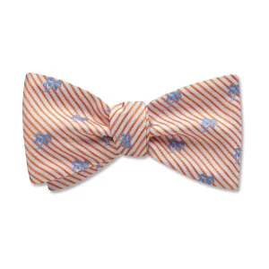 Palm Beach - Kids' Bow Ties