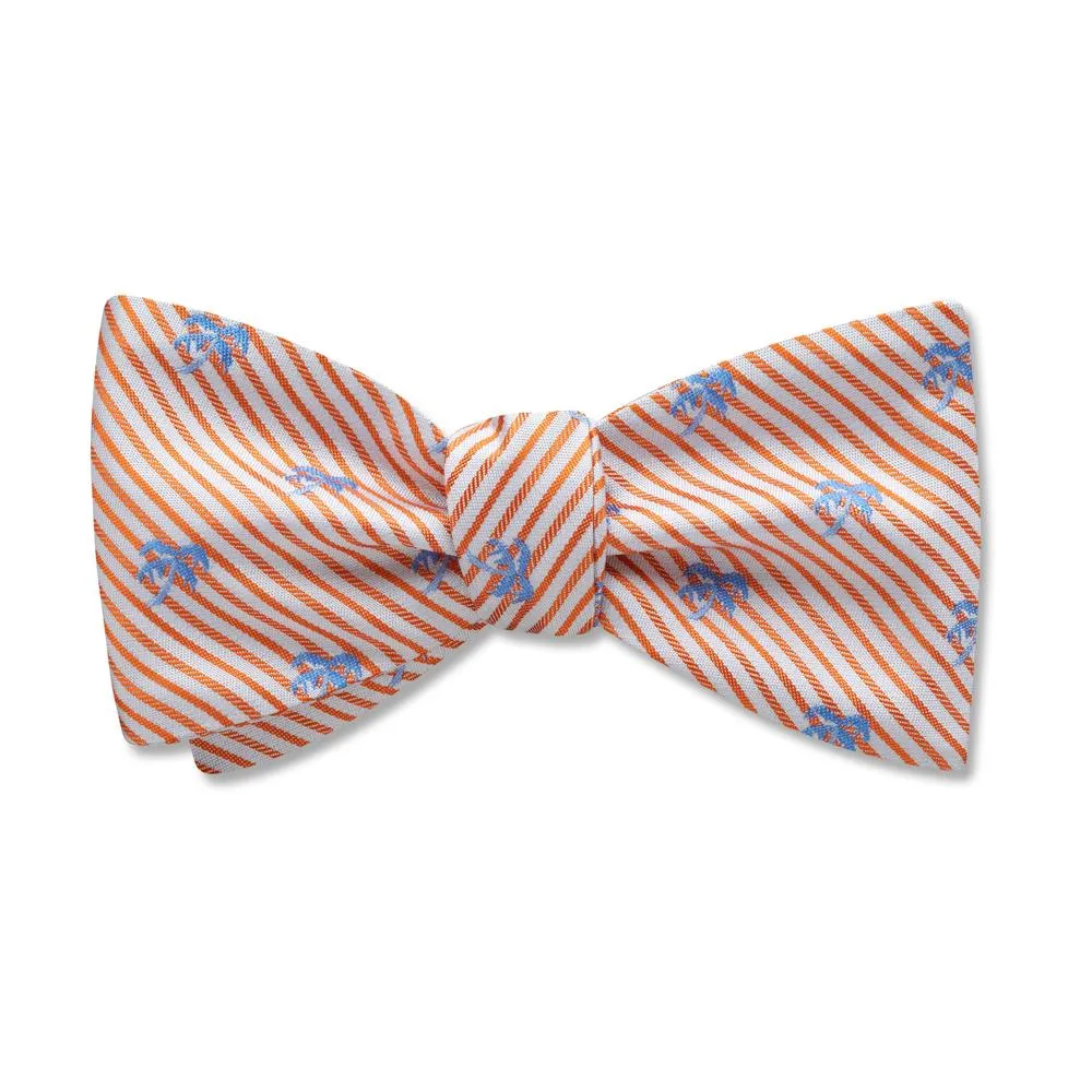 Palm Beach - Kids' Bow Ties