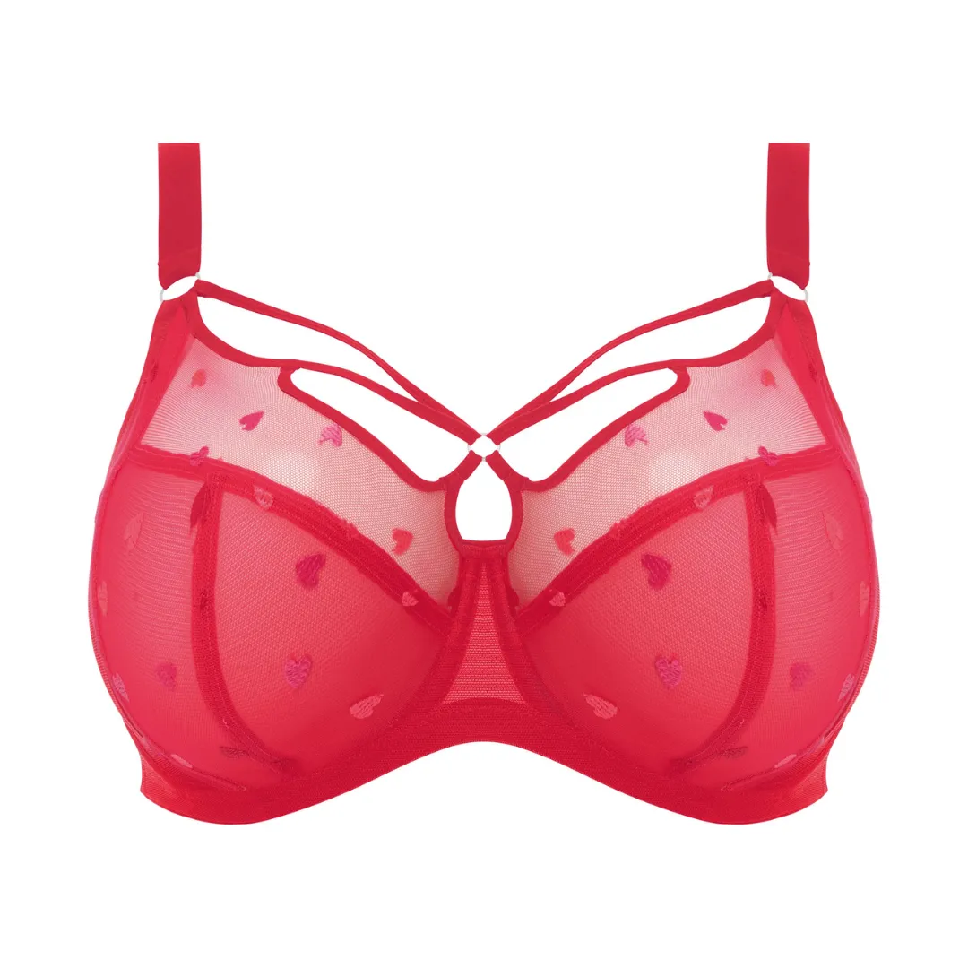 Sachi Plunge Bra