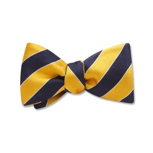 Scholastic Navy/Gold - Kids' Bow Ties