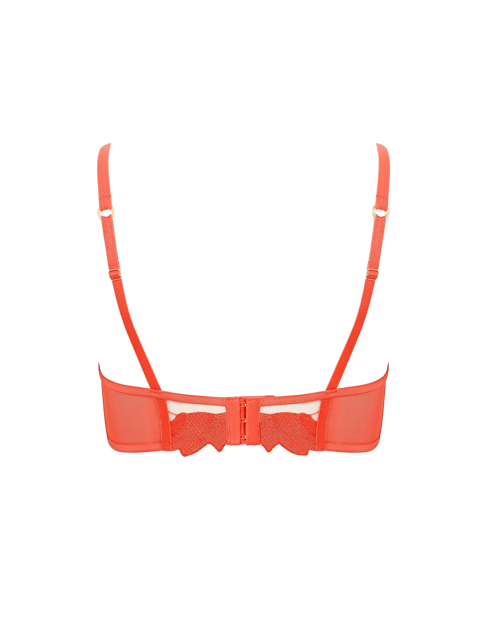 Serenity Wired Longline Bra Hot Coral/Sheer