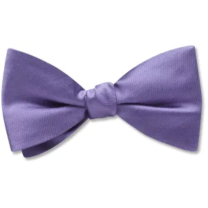 Somerville Lapis - Dog Bow Ties