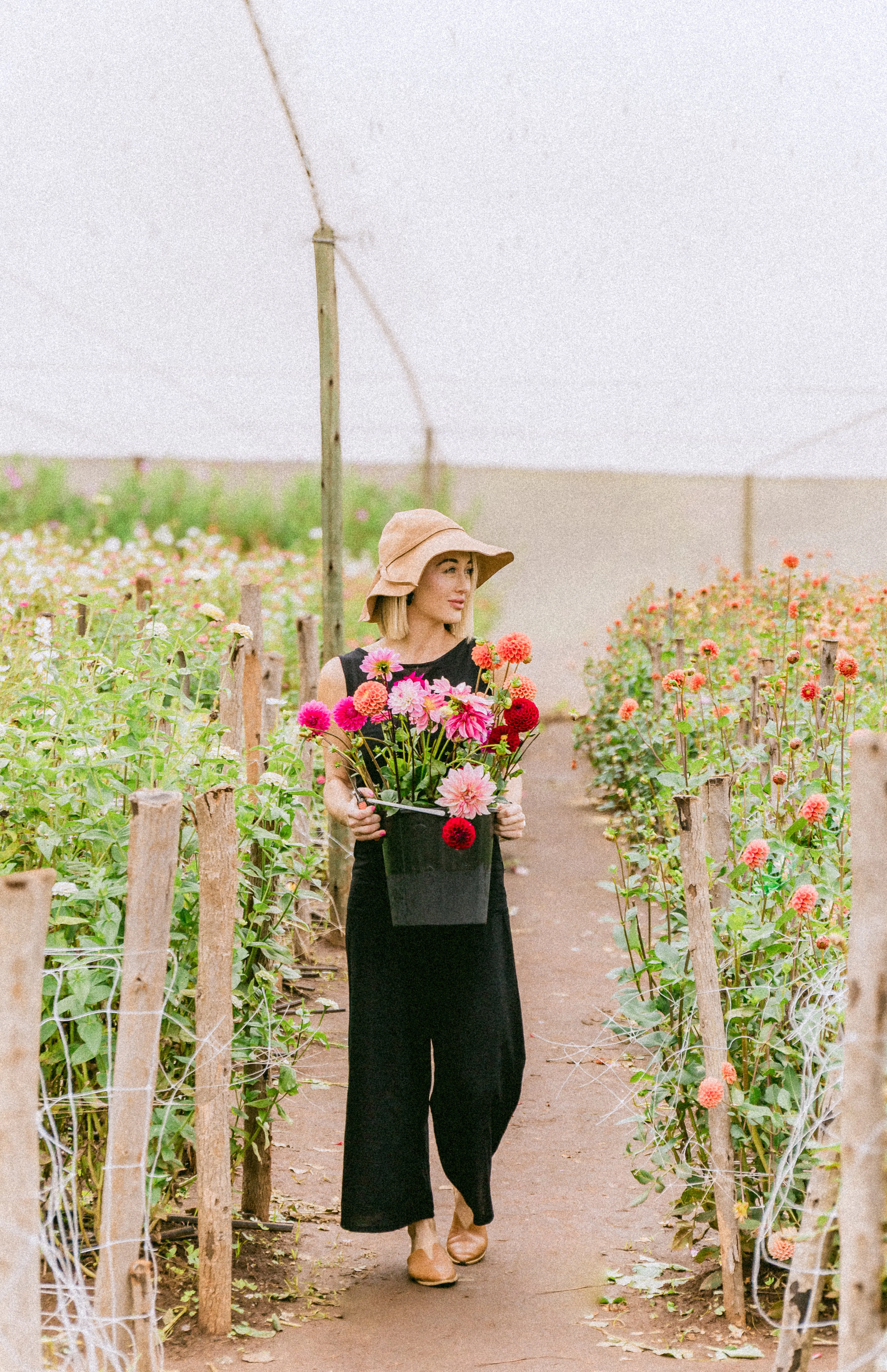 Sunkissed Horizon Linen Jumpsuit